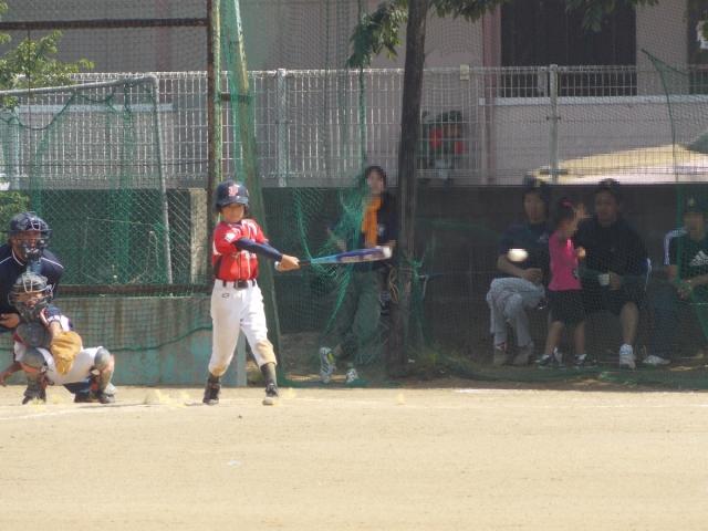 �`�[���ʐ^