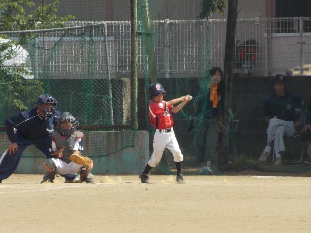 �`�[���ʐ^