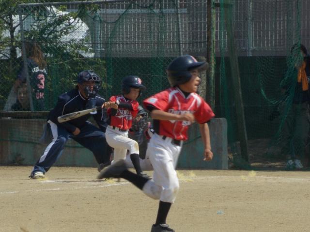 �`�[���ʐ^