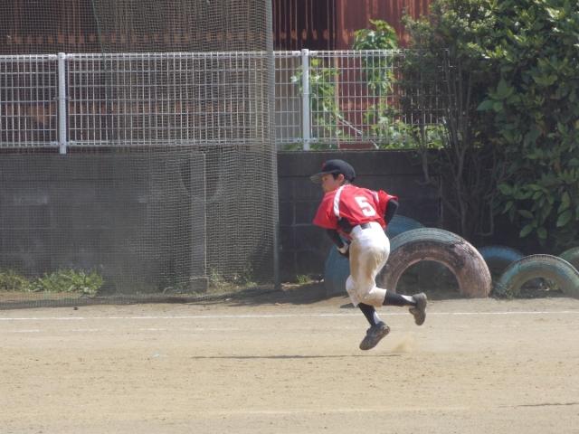 �`�[���ʐ^