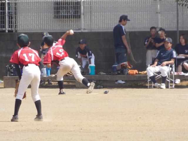 �`�[���ʐ^