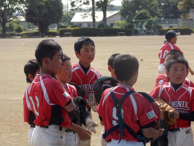 �`�[���ʐ^