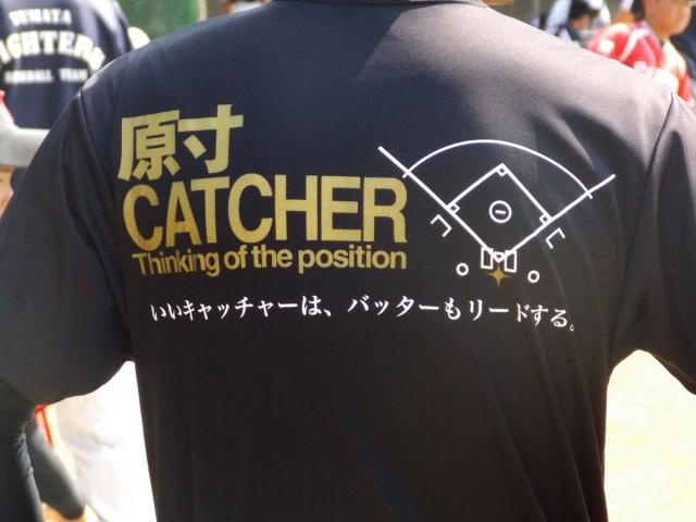 �`�[���ʐ^