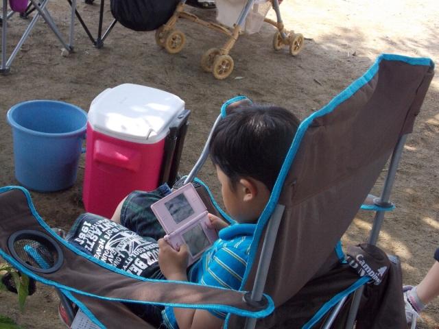 �`�[���ʐ^