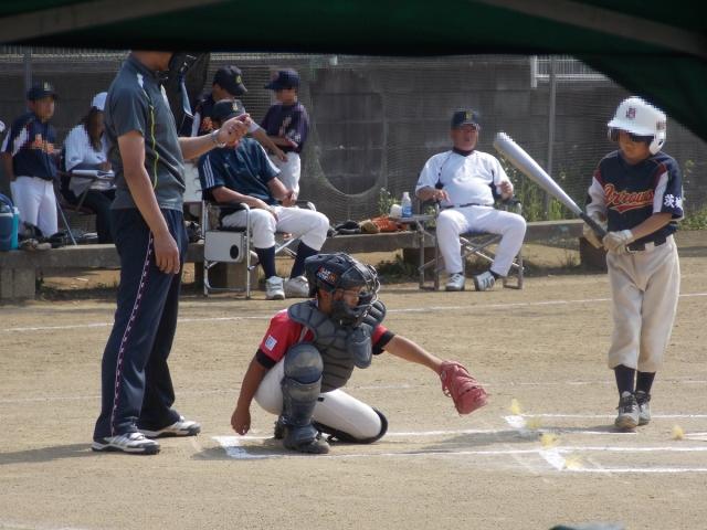 �`�[���ʐ^