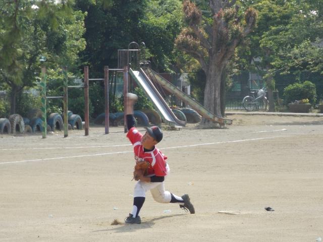 �`�[���ʐ^