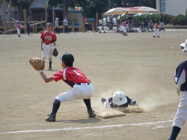 �`�[���ʐ^