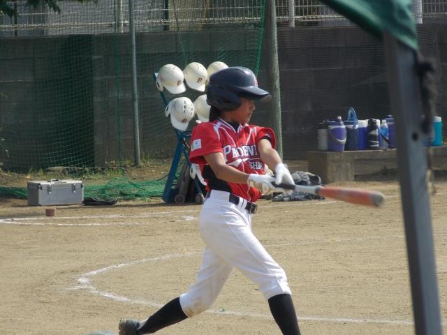 �`�[���ʐ^