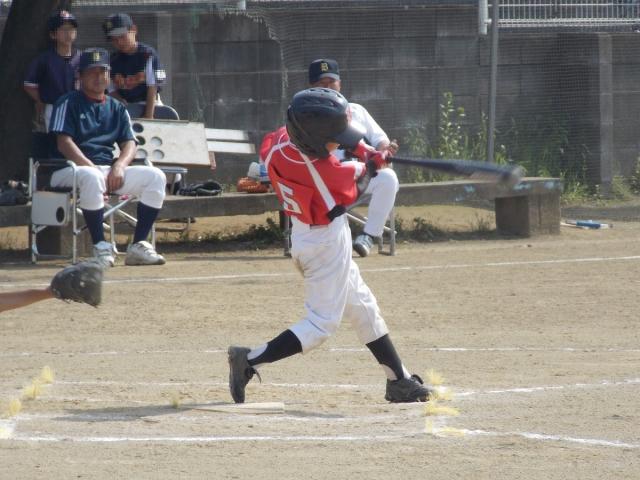 �`�[���ʐ^