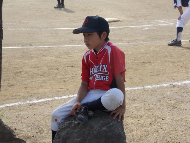 �`�[���ʐ^