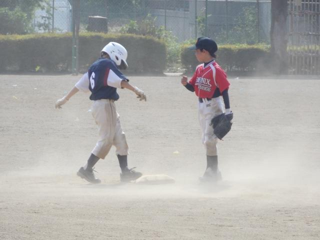 �`�[���ʐ^