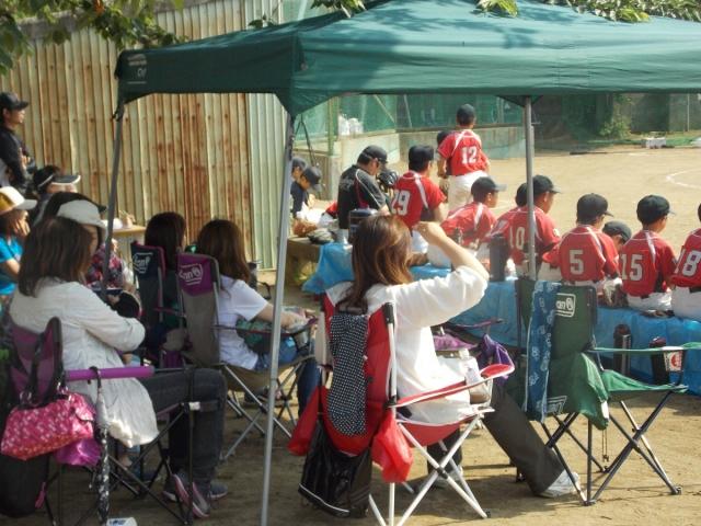 �`�[���ʐ^