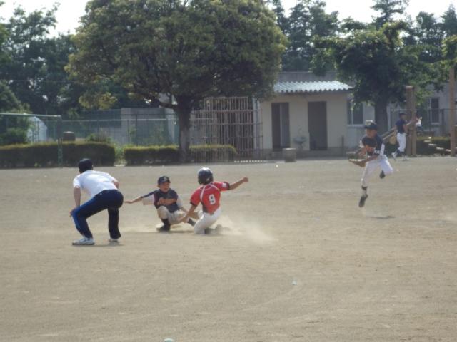 �`�[���ʐ^