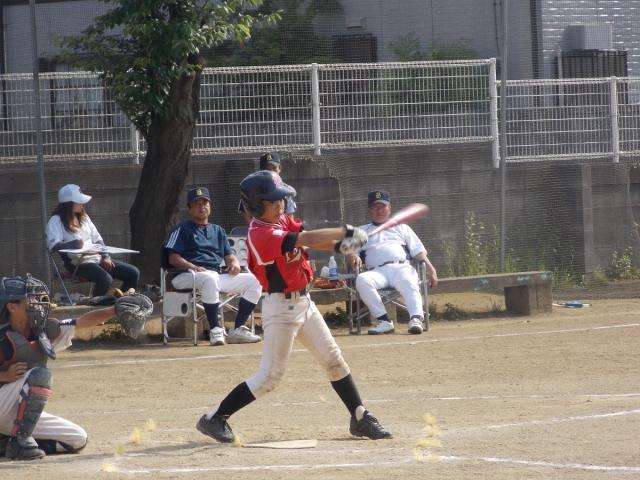 �`�[���ʐ^