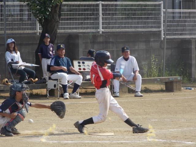 �`�[���ʐ^