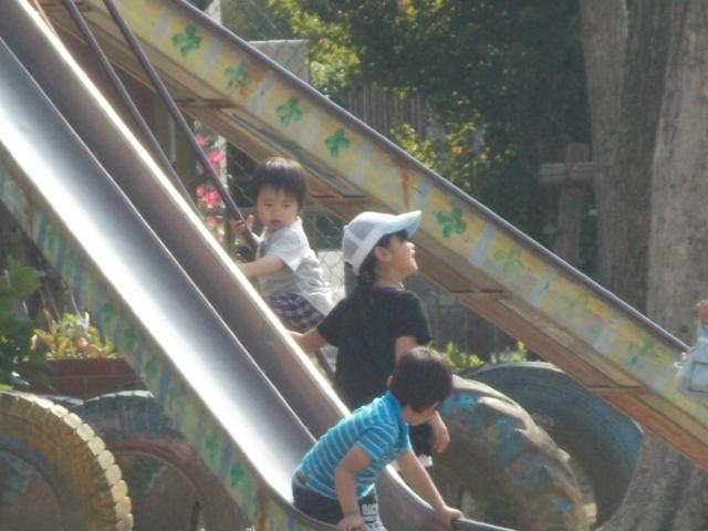 �`�[���ʐ^