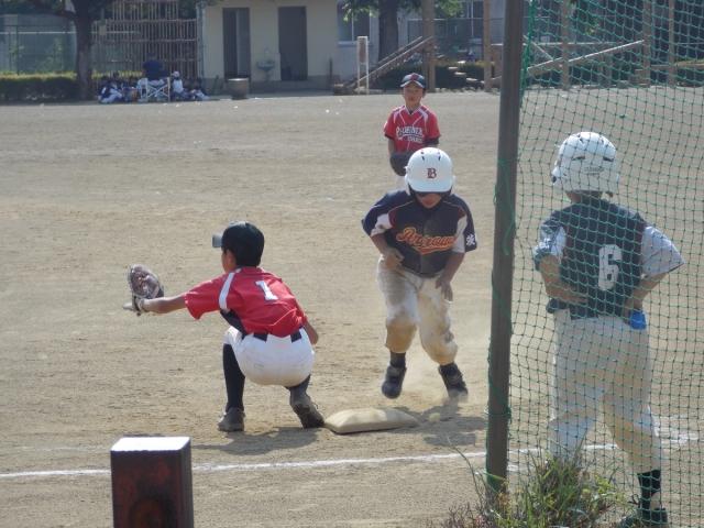 �`�[���ʐ^