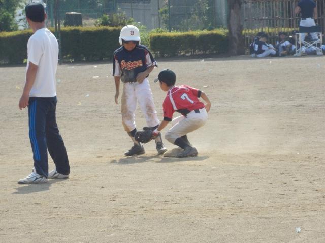 �`�[���ʐ^