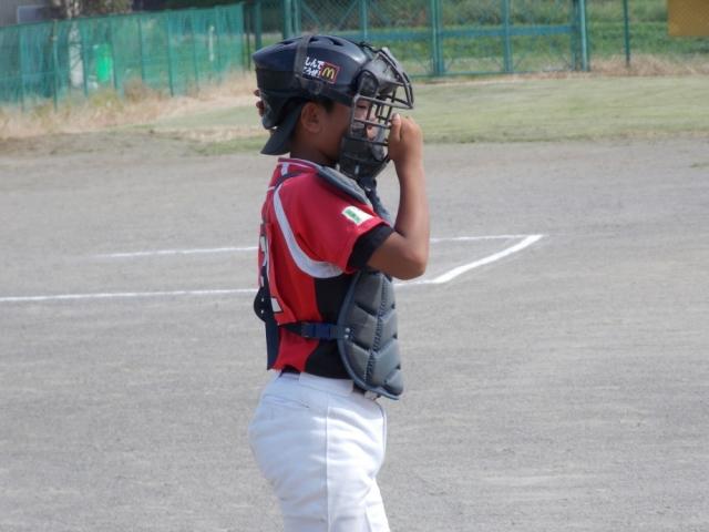 �`�[���ʐ^