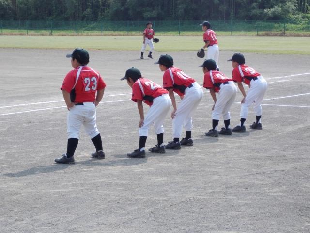 �`�[���ʐ^