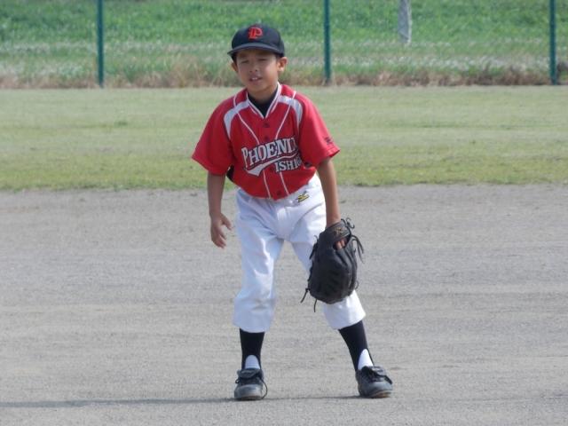 �`�[���ʐ^