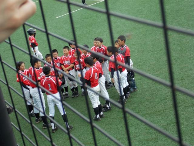 �`�[���ʐ^