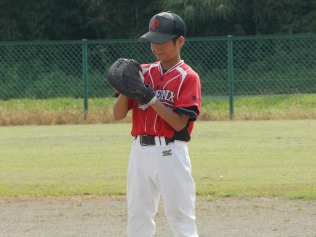 �`�[���ʐ^