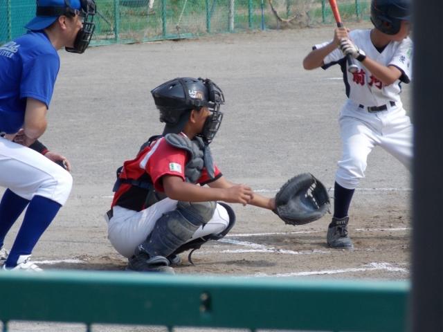 �`�[���ʐ^