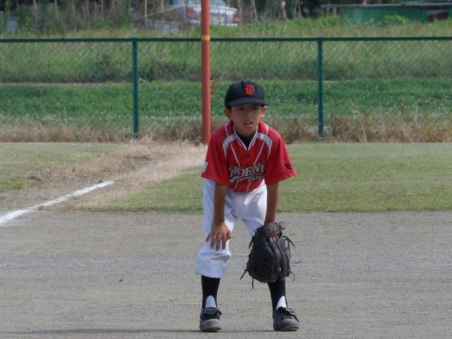 �`�[���ʐ^