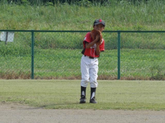 �`�[���ʐ^