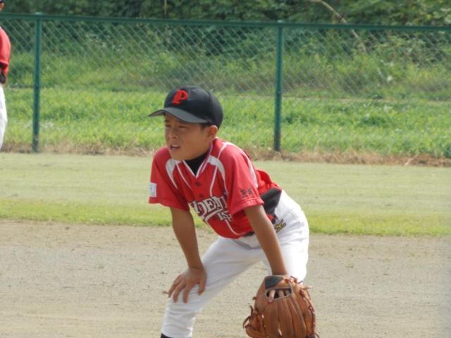 �`�[���ʐ^