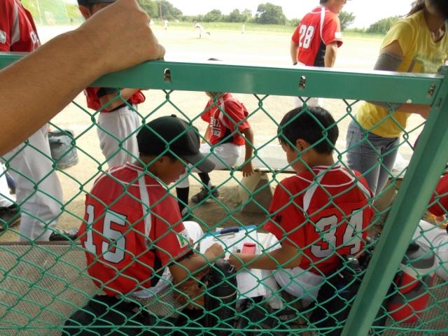 �`�[���ʐ^