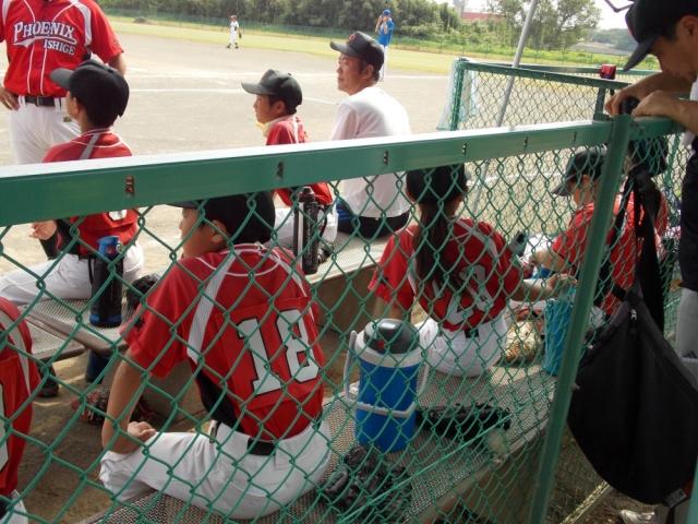 �`�[���ʐ^