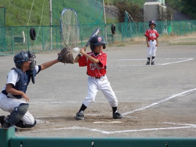 �`�[���ʐ^