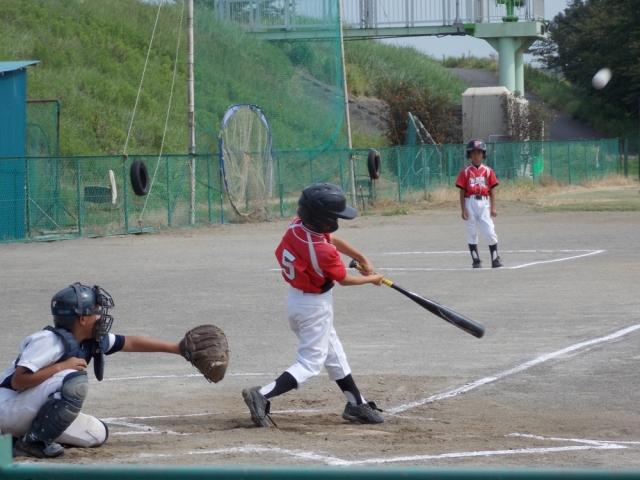 �`�[���ʐ^