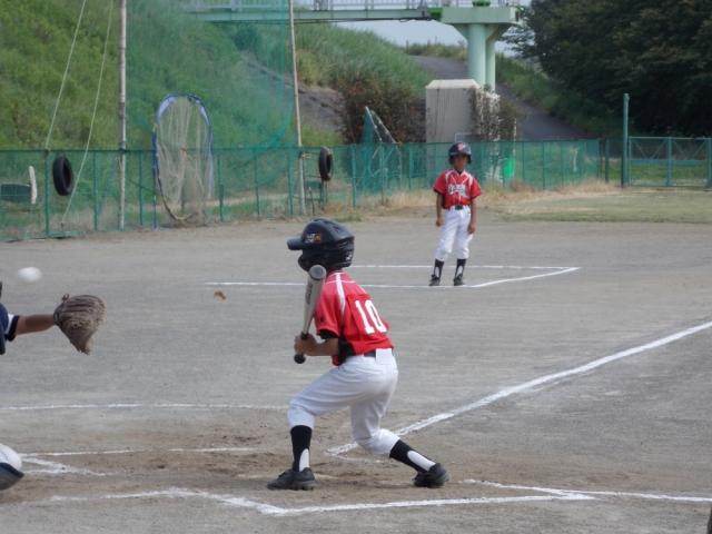 �`�[���ʐ^