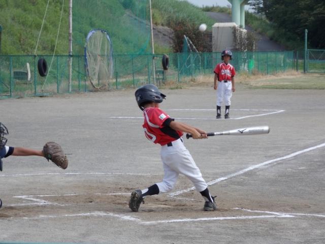 �`�[���ʐ^