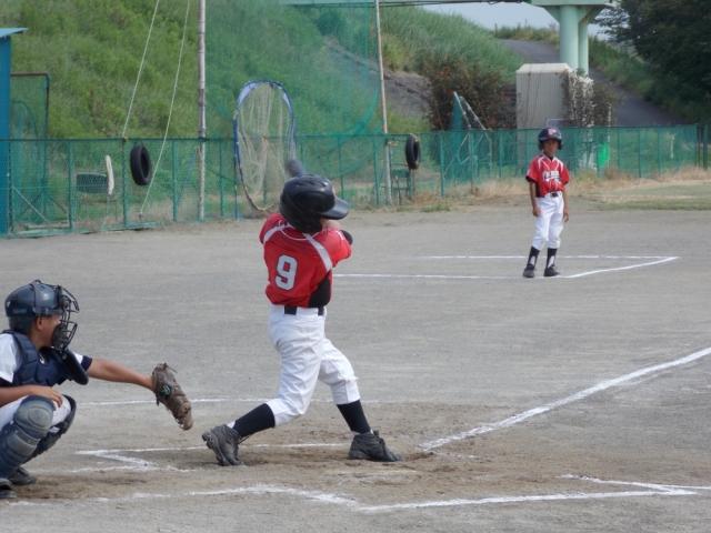 �`�[���ʐ^