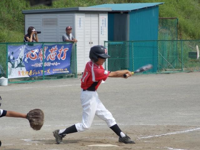 �`�[���ʐ^