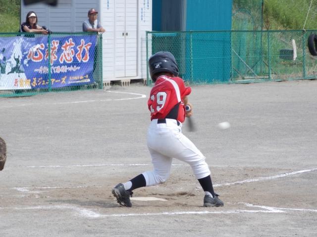 �`�[���ʐ^