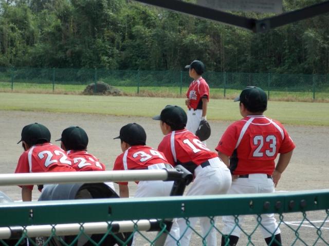 �`�[���ʐ^