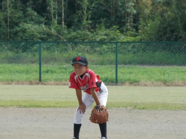 �`�[���ʐ^