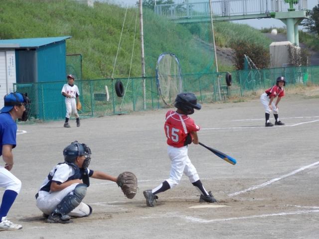 �`�[���ʐ^