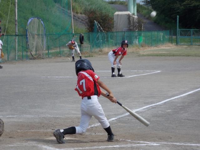 �`�[���ʐ^