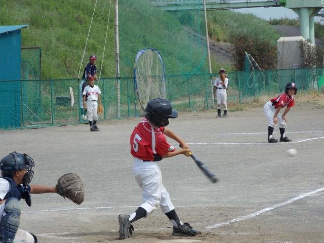 �`�[���ʐ^