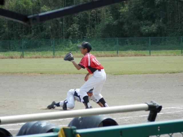 �`�[���ʐ^