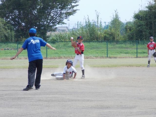 �`�[���ʐ^