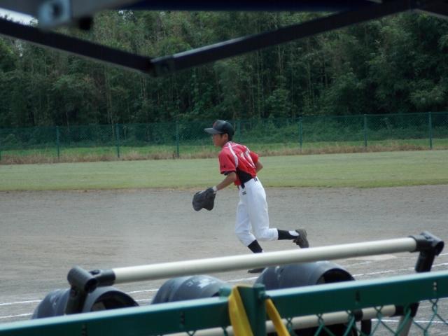 �`�[���ʐ^