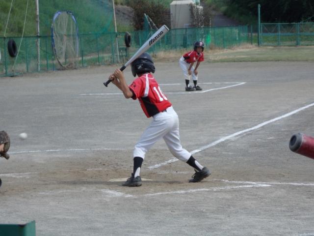 �`�[���ʐ^