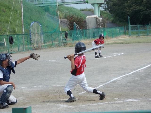 �`�[���ʐ^